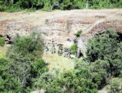 PKK'ya yönelik operasyon genişliyor 